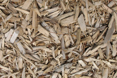 biomass boilers Sleight
